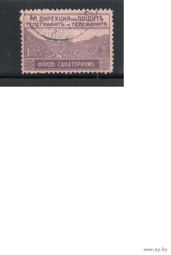 Болгария(Царство)-1928, (Мих.9),  гаш.  , В фонд санаторий(одиночка)