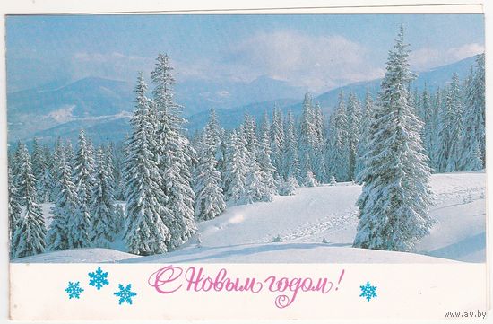 Открытка 1981 (435)