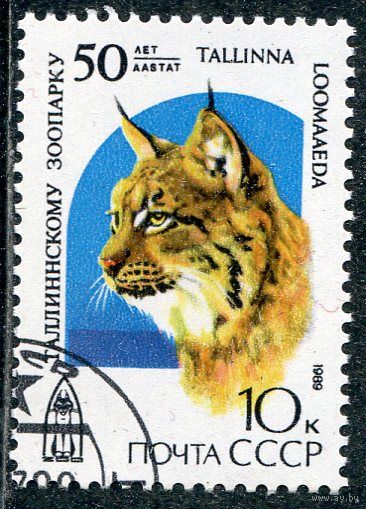 СССР 1989.. Таллинский зоопарк. Рысь
