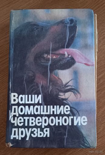 Ваши домашние четвероногие друзья.