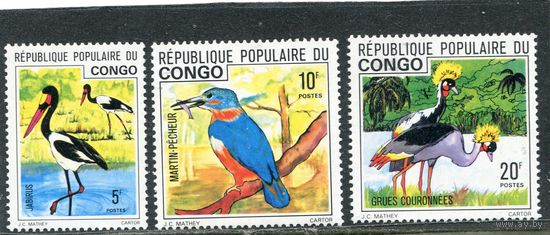 Конго. Фауна. Птицы