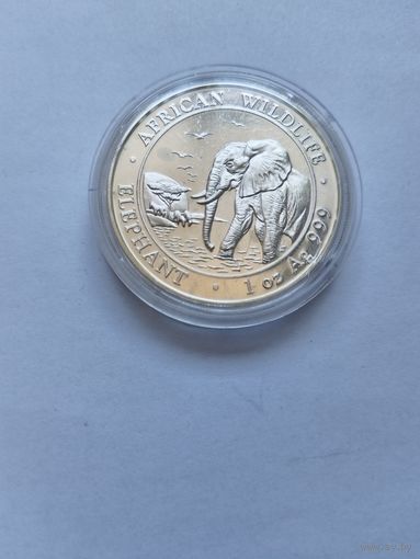 Сомали 100 шиллингов 2010 Слон унцовка 999