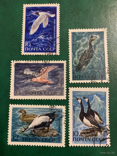 СССР 1972. Водоплавающие птицы. Полная серия
