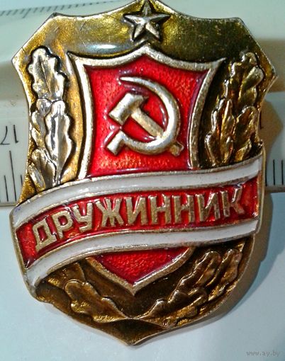 Дружинник