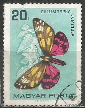 Венгрия. Бабочка Медведица. 1966г. Mi#2201.