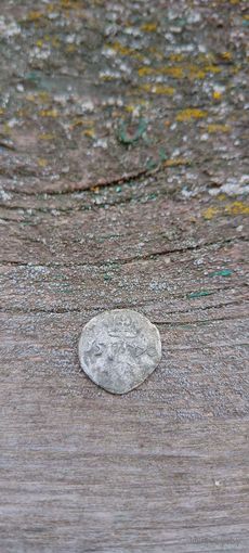 Двуденарий 1570