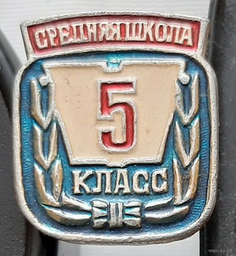 5 класс. Ау-29