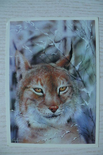 Исаков А., Рысь, 1989, чистая.