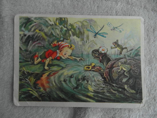 Владимирский Л. Буратино. Сказка. Встреча с черепахой. 1955 г. 10х15 см.