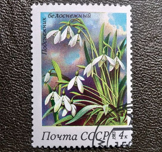 Марка СССР 1983 год Цветы