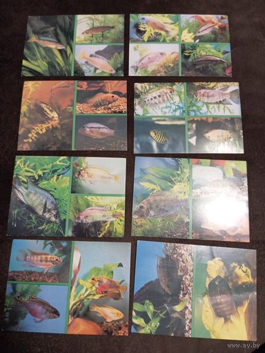 Открытки 1988, Мир аквариума, выпуск7, 18 шт