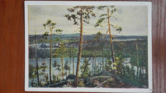 Соцреализм 1957. Кибардин. Над Кислой губой