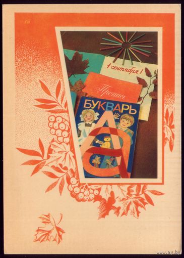 1984 год Ч.Сайфи 1 сентября