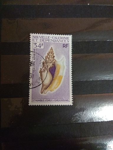 Французская колония Новая Каледония фауна моря раковина концовка серии (2-10)