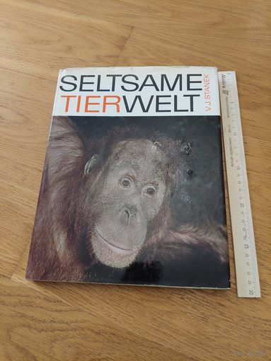 Seltsame tierwelt Артия