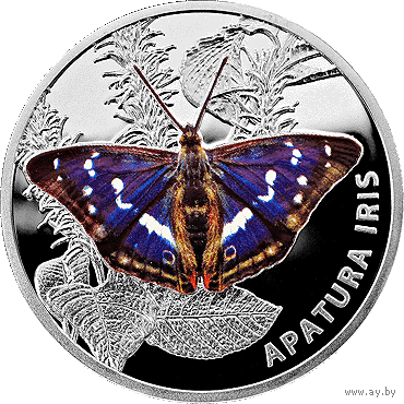 Переливница большая.Пераліўніца вялікая (Apatura iris). Серебро.  20 рублей ,