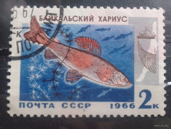 1966 Хариус