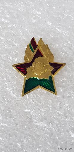 Членский знак Октябрёнок Беларусь*