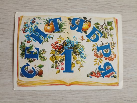 1 Сентября! Похитонова 1985 г.