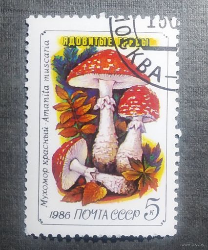 Марка СССР 1986 год Грибы