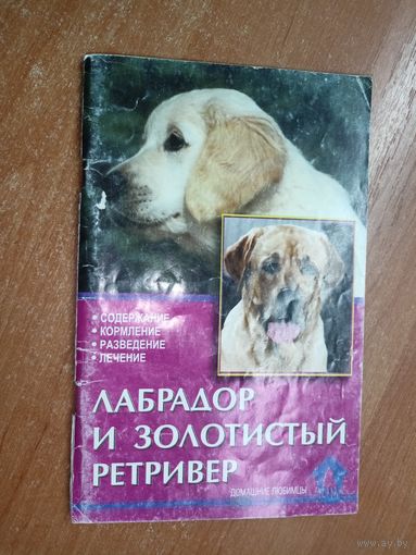Катарина Шлегль-Кофлер "Лабрадор и золотистый ретривер"