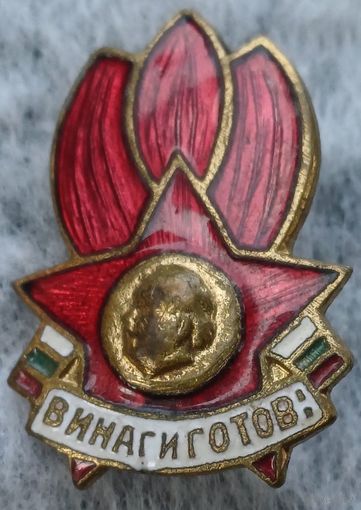 Значок винаг и готов