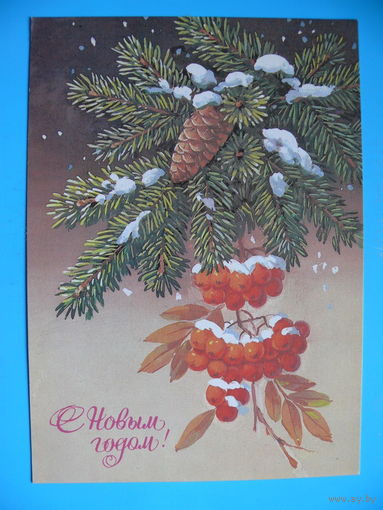 Куртенко Е., С Новым годом! 1984, чистая.