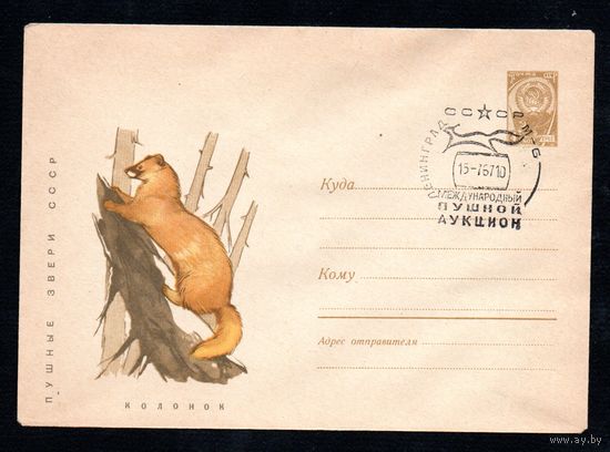 Художественный маркированный конверт СССР со спецгашением  N 4603 (27.03.1967) Пушные звери СССР  Колонок