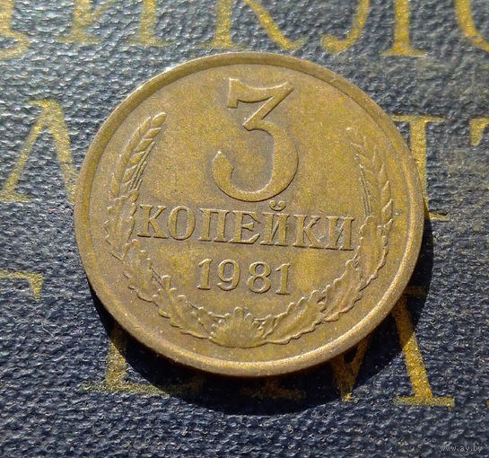 3 копейки 1981 СССР #21