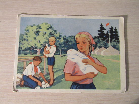 Пришел на ферму наш отряд  1961 Качелаев ИЗОГИЗ