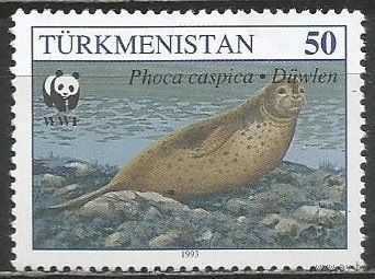 Туркменистан. Каспийская нерпа. 1993г. Mi#32.