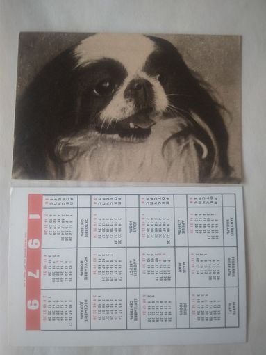 Карманный календарик. Собака.1979 год