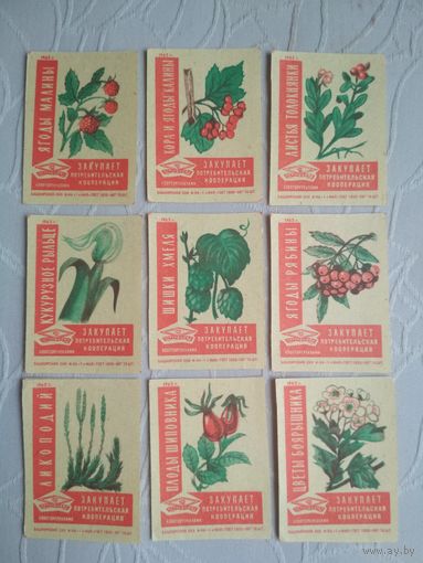 Спичечные этикетки ф. 1 Мая. Закупает потребительская кооперация.1962 год