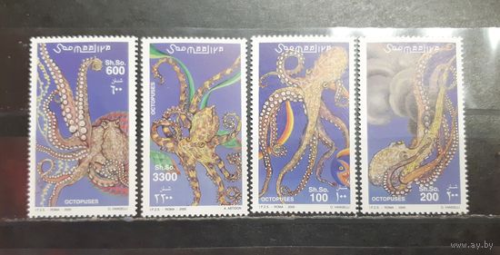 Сомали. 2000 год. Фауна моря. Осьминоги (1622)