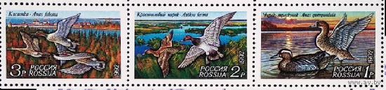 Россия Утки сцепка из листа ** фауна 1992 г