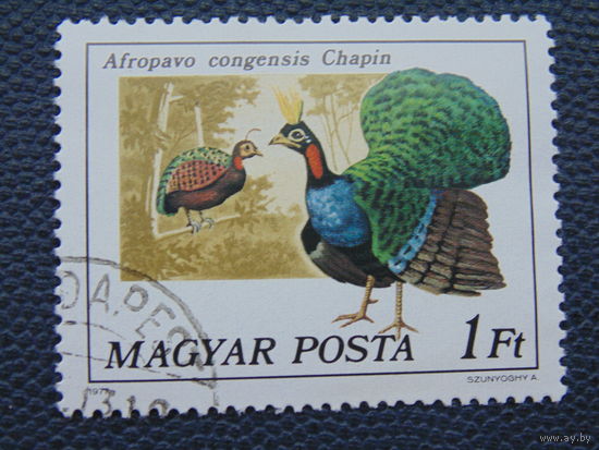 Венгрия 1977 г. Птицы.