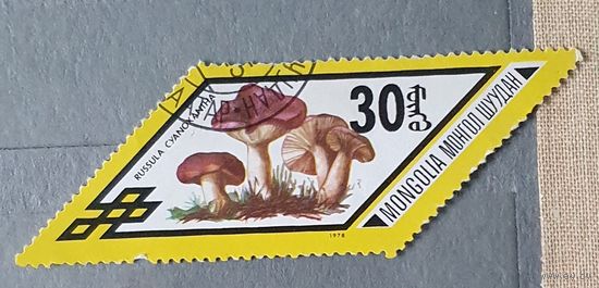Монголия грибы 1шт