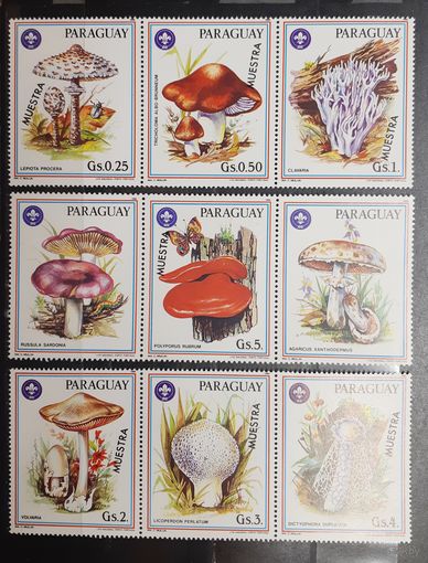 Парагвай. Флора. Грибы. 3 сцепки (9 марок) (970)