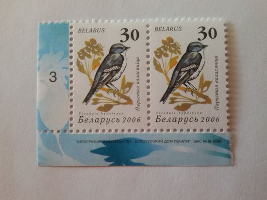 Беларусь. 2006. Девятый стандарт. Зак. 91-2006. Лист 6х7 (3). Пара с номером заказа (А049)