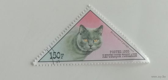 Того 1999. Коты