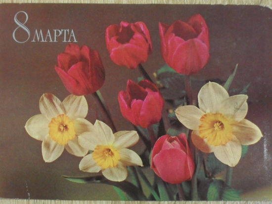 ПОДПИСАННАЯ ОТКРЫТКА СССР.  "8 МАРТА". ФОТО. Б. КРУЦКО. 1982 год.