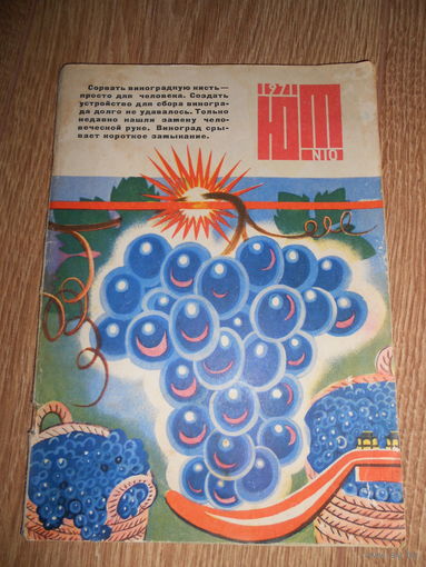 Юный техник 10/1971