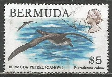 Бермуды. Птица Тайфунник. 1978г. Mi#368.