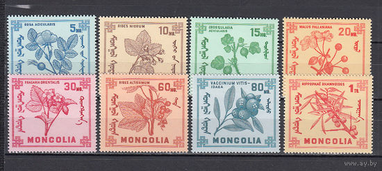 Флора. Лекарственные растения. Монголия. 1968. 8 марок. Michel N 490-497 (4,3 е)