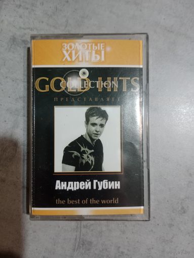 Аудио кассета Андрей Губин