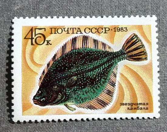 Марка СССР 1983 год Рыба