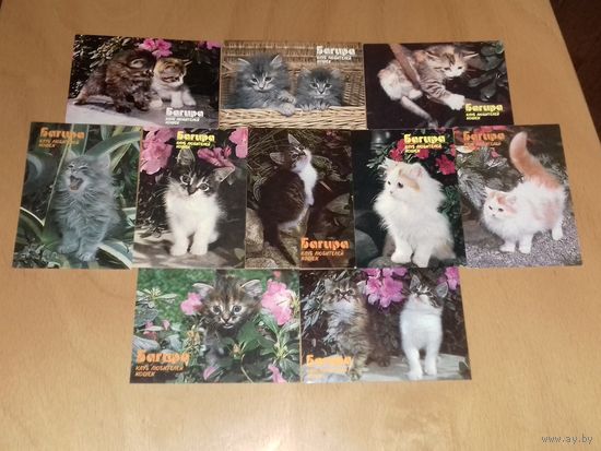 Календарики 1990 Кошки. Коты. Полная серия 10 шт. одним лотом