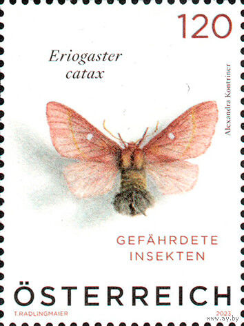 Насекомые, находящиеся под угрозой исчезновения Австрия 2023 год серия из 1 марки