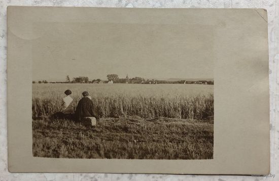 Первая Мировая, Западный театр военных действий, германская полевая почта, Feldpost, 4.08.1916