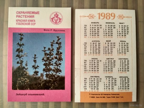 Карманный календарик. Охраняемые растения Узбекистана. 1989 год